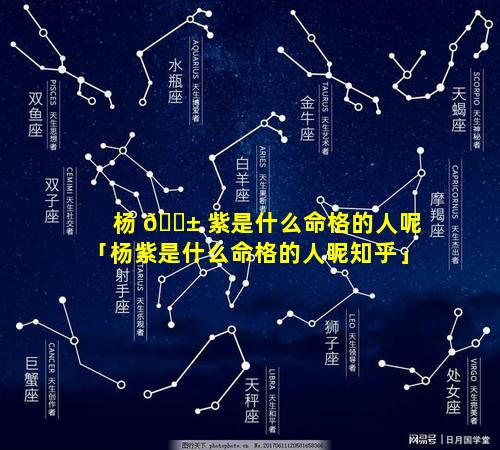 杨 🐱 紫是什么命格的人呢「杨紫是什么命格的人呢知乎」